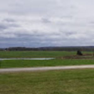 Meet your Posher, Ron